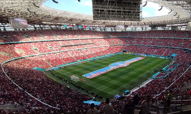 的精彩表现 的精彩表现