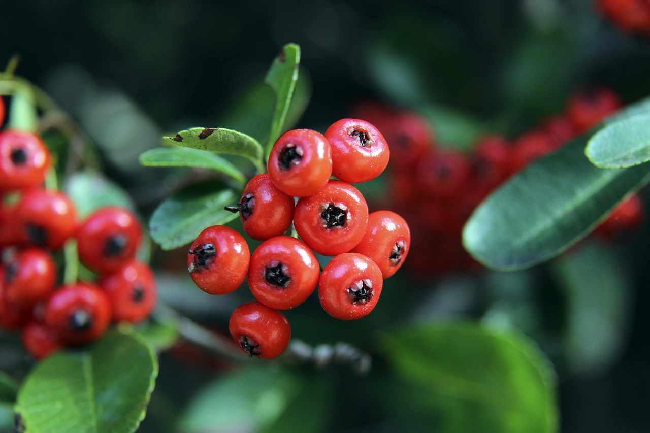 更为他场下 更为他场下