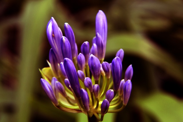 在连续的失 在连续的失