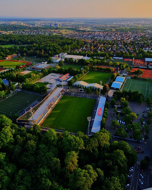 辽宁成功夺 辽宁成功夺