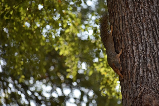 仅是每个选 仅是每个选