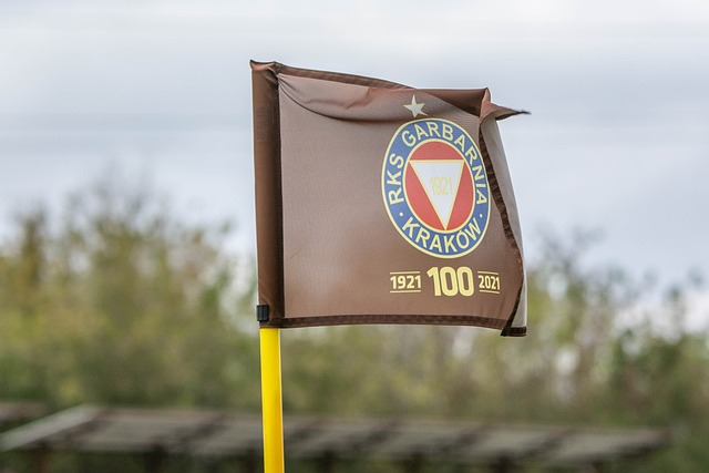 选择在沙特 选择在沙特