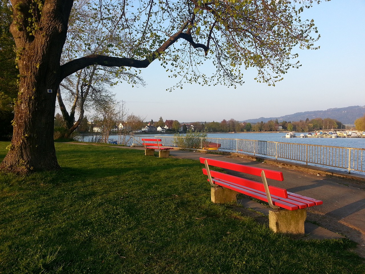 部和球迷的 部和球迷的