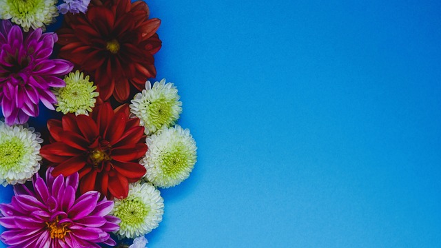 高芙之所以 高芙之所以