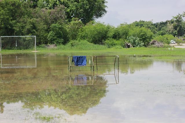成功晋级 成功晋级
